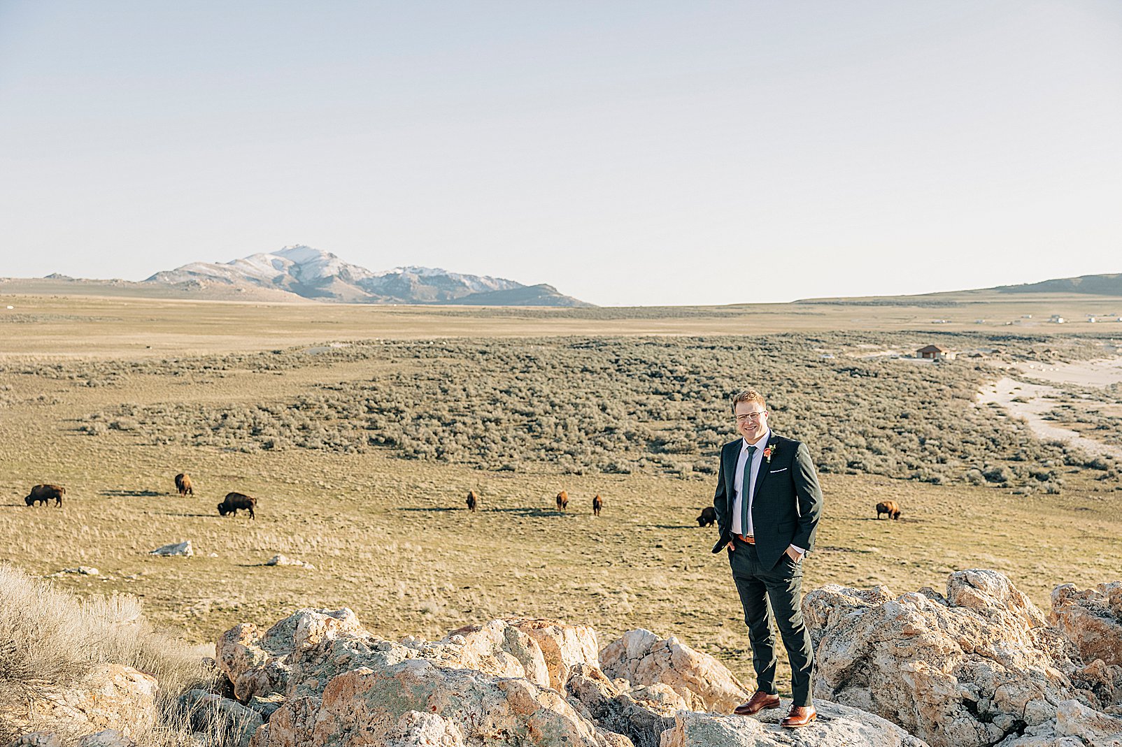 Guy In Suit With Buffalo At Antelope Island